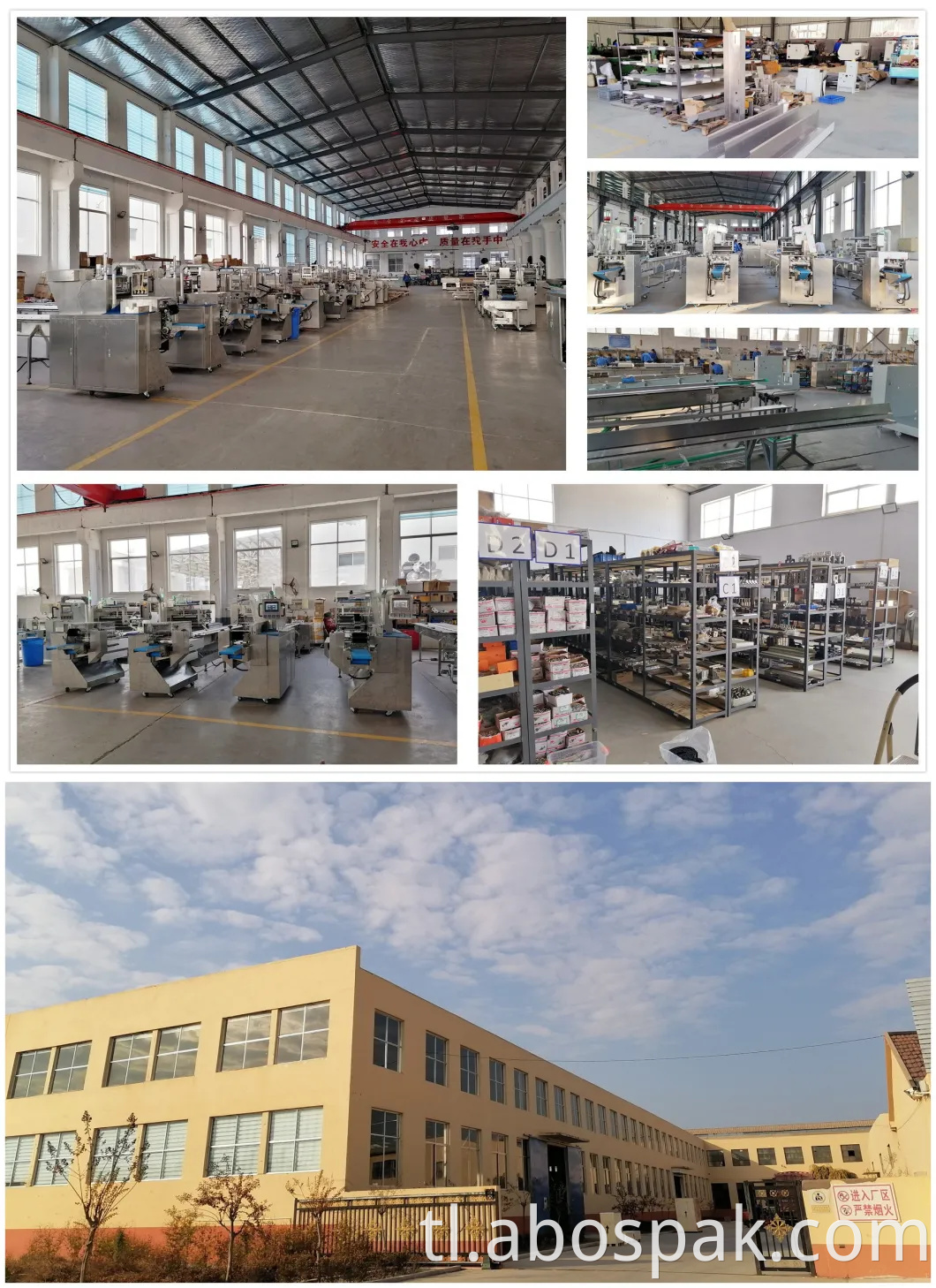 Frozen Dumpling Food na may Pallet Tray Automatic Box Motion Gusset Labeling Sealing Packing Wrapping Machinery